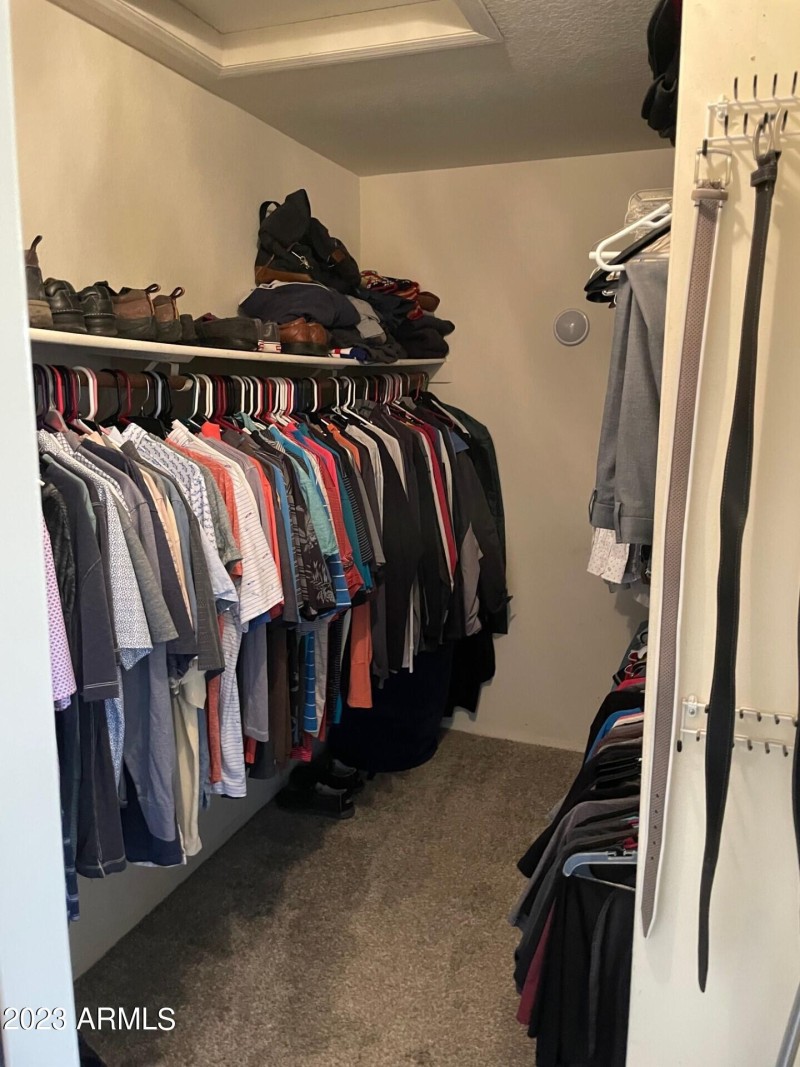 Primary Closet