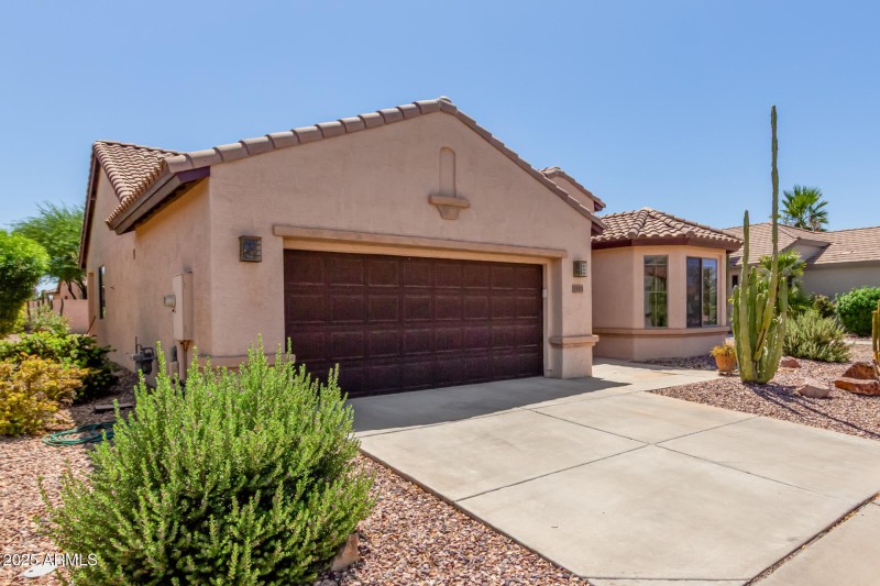 04 - Buckskin 5353