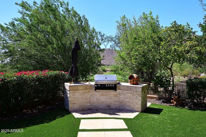 BBQ Grill