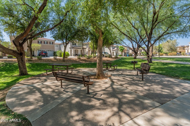 Community Area