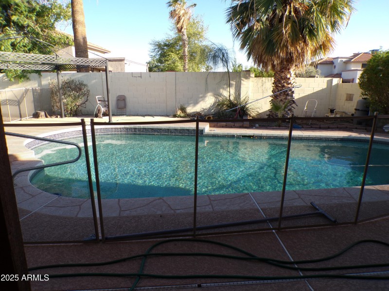 Backyard-Pool