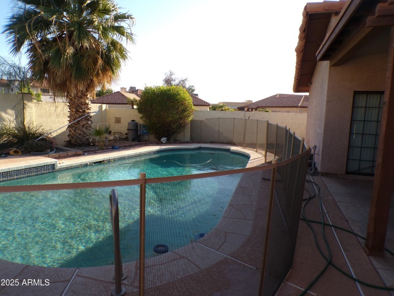Backyard-Pool1