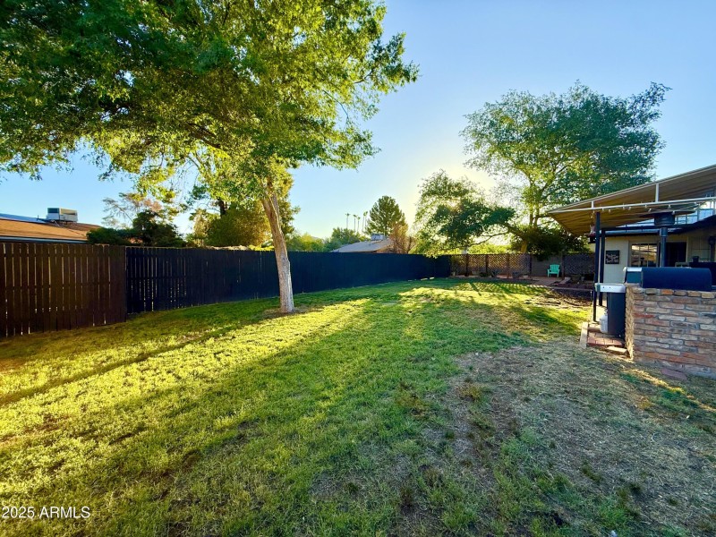 Backyard