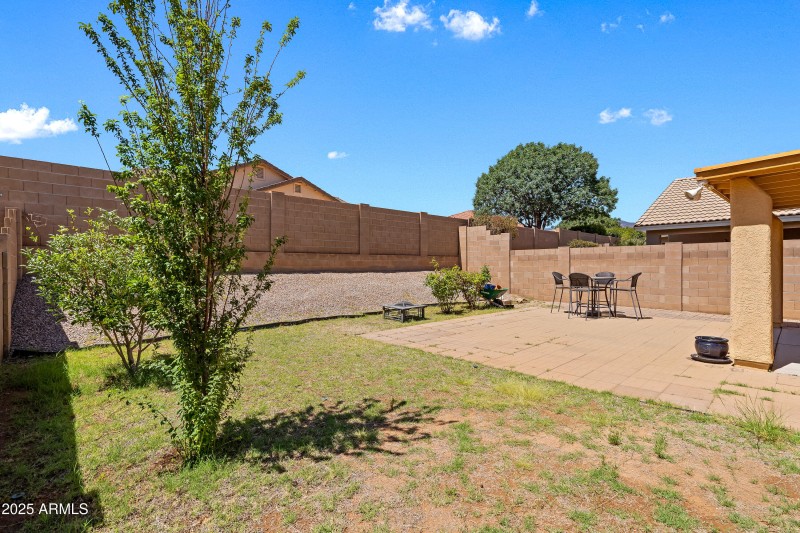 Back Yard