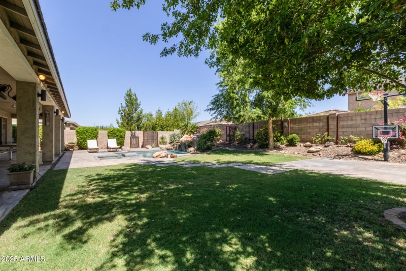 Grass Yard