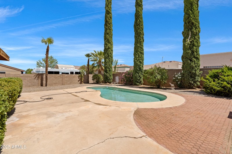 3 Backyard-1
