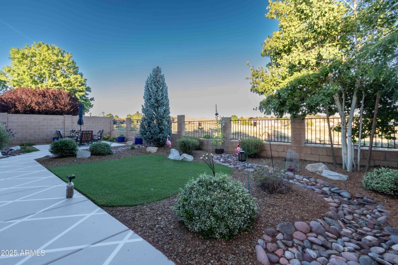 Backyard 1