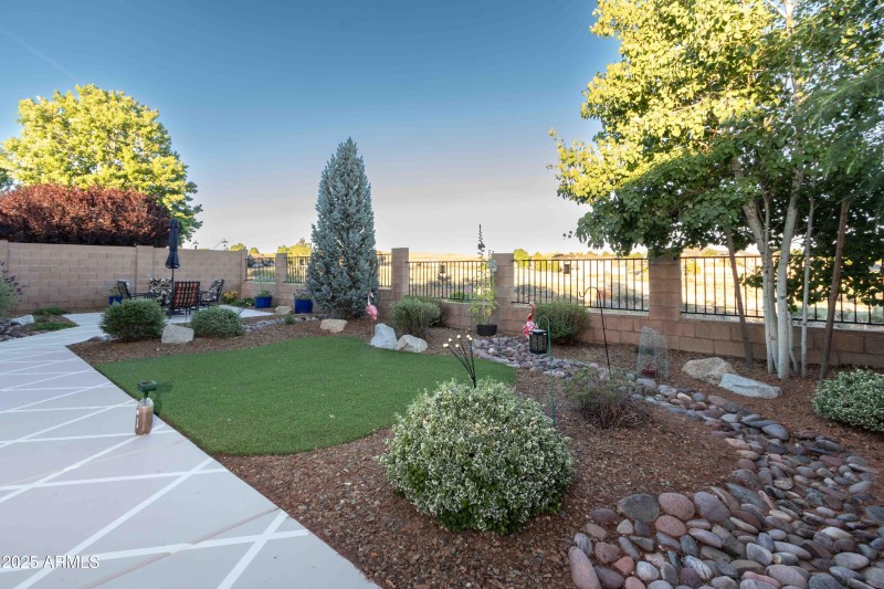Backyard 2
