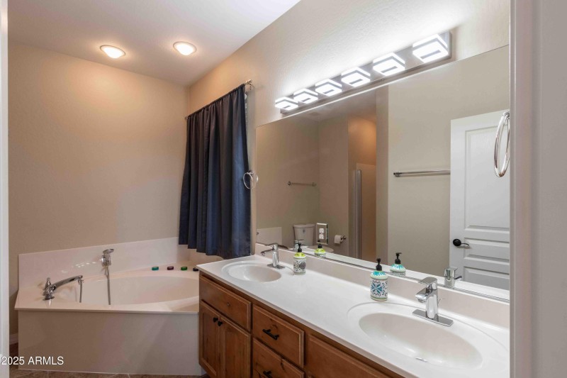 Master Bathroom 1