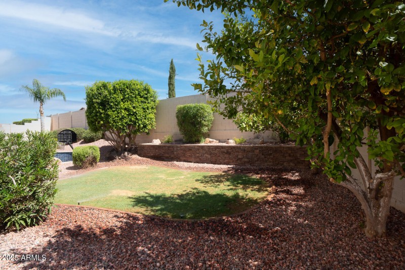 Grassy Area