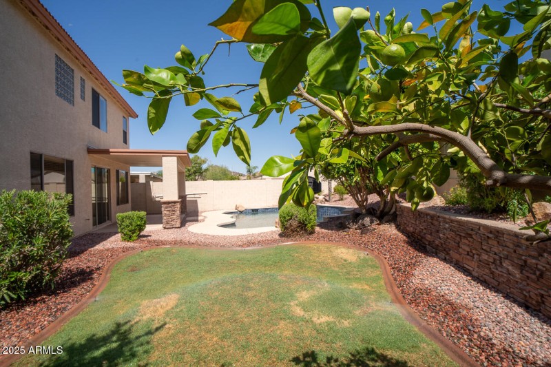 Fruit Trees