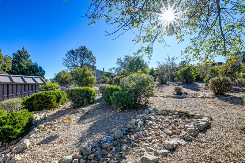 Side Yard