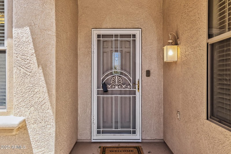 Iron Screen Door
