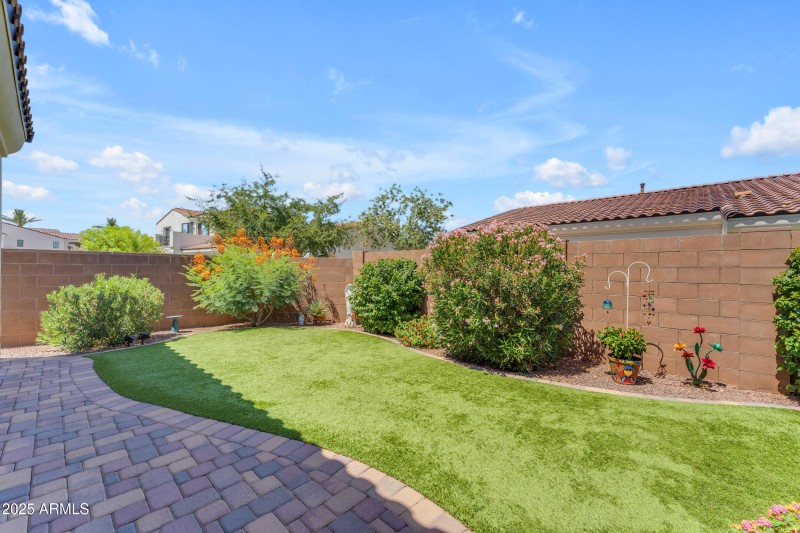 Backyard 1