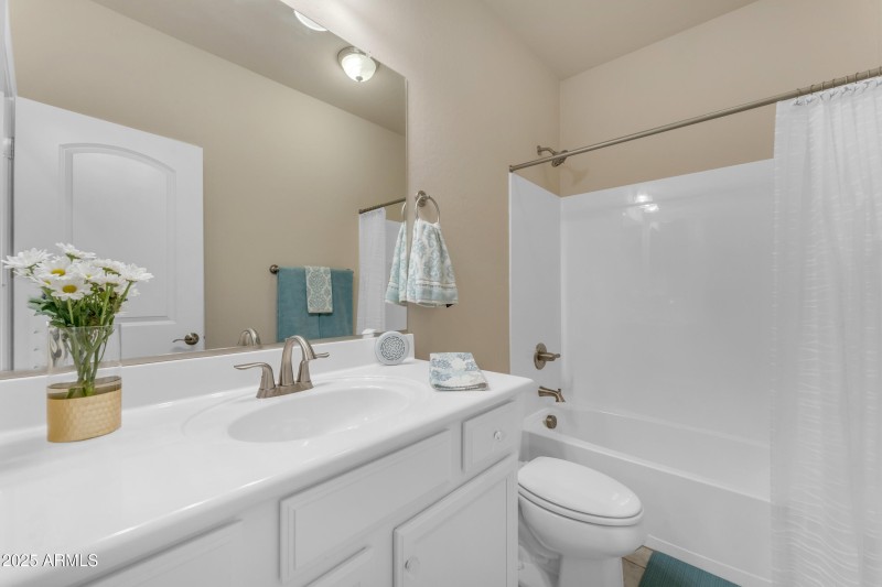 Guest Bath 1
