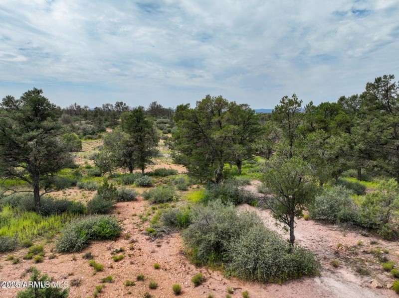 20250108042230895321000000-o