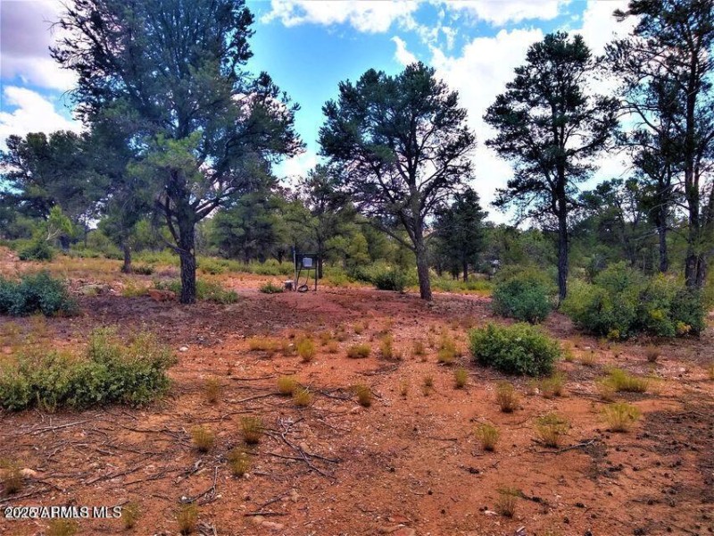 20250108032618371039000000-o