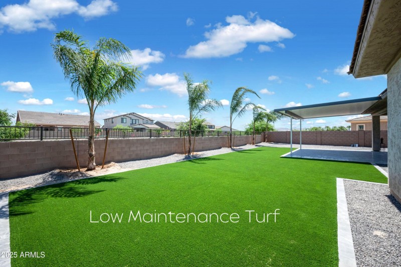 Low Maintenance Yard