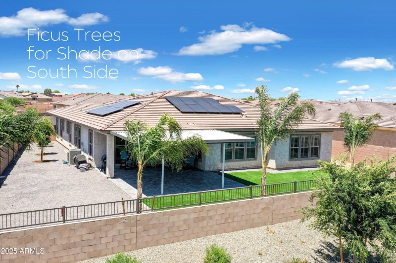 Shade Trees on the South