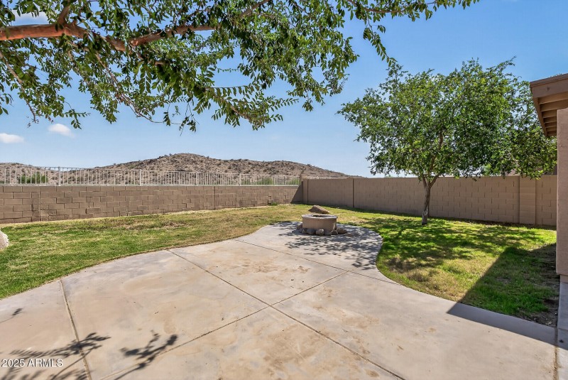100 Backyard 1