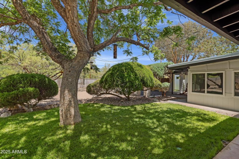 Backyard 9