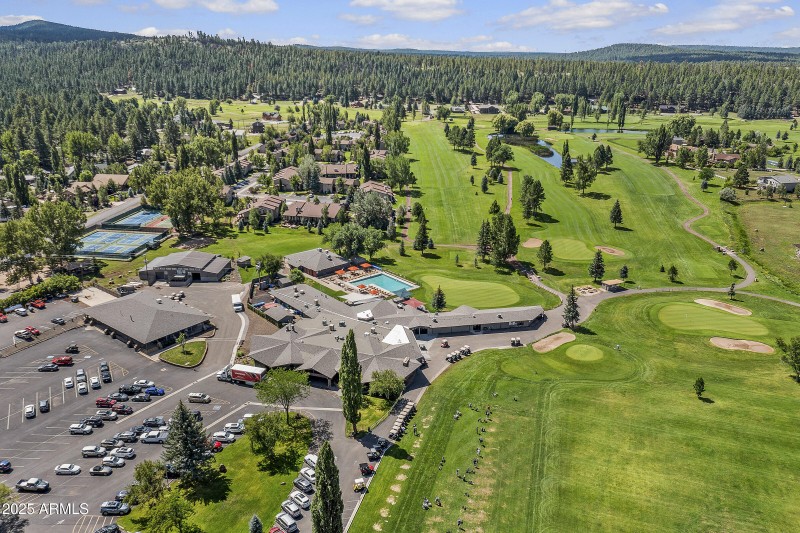 Pinewood drone-8