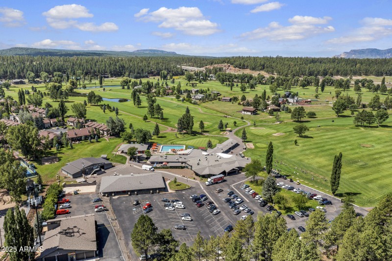 Pinewood drone-5