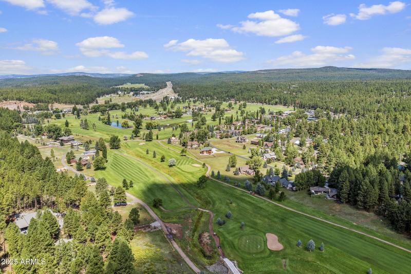 Pinewood drone-2