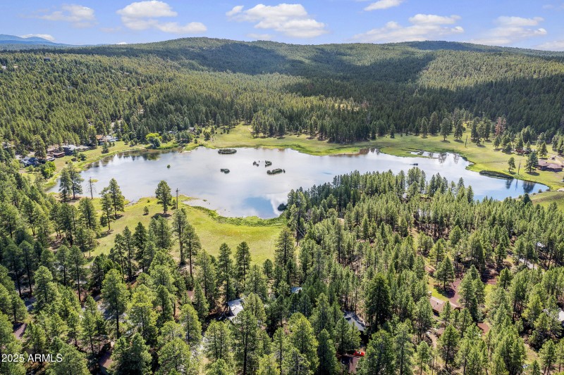 Pinewood drone-1