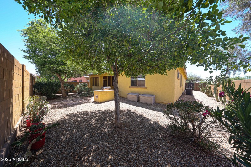 Back Yard