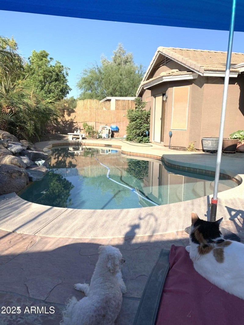 pool