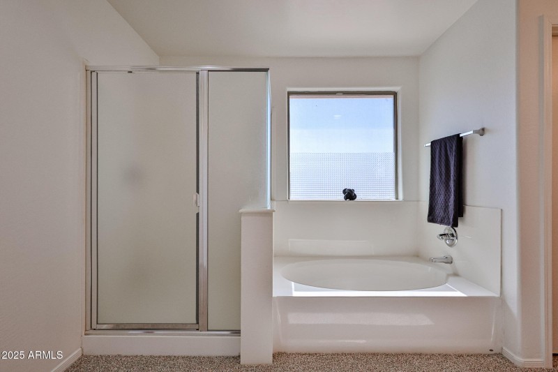 Separate shower/tub