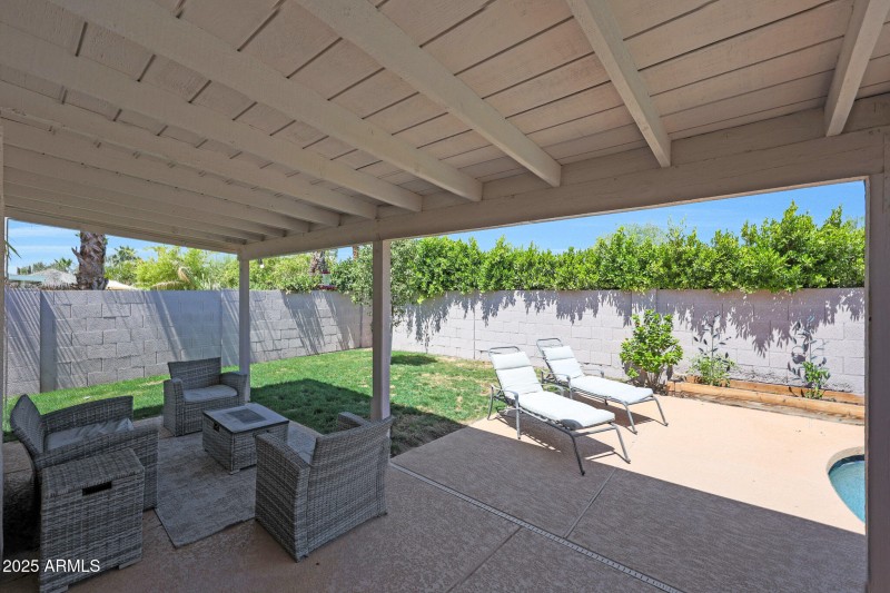 Backyard