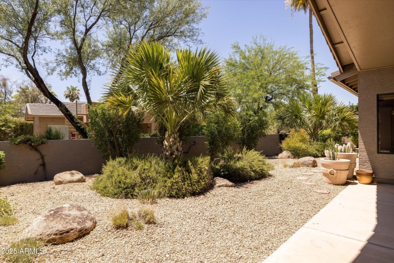 Beautiful Yard
