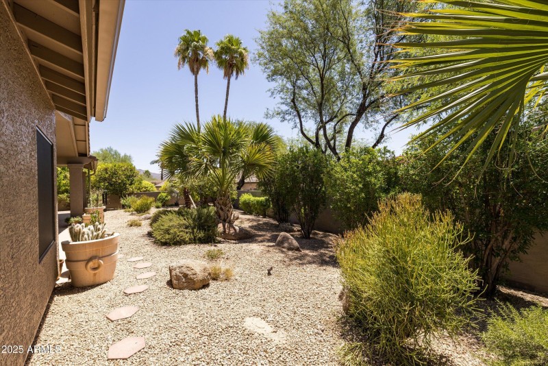 Large yard