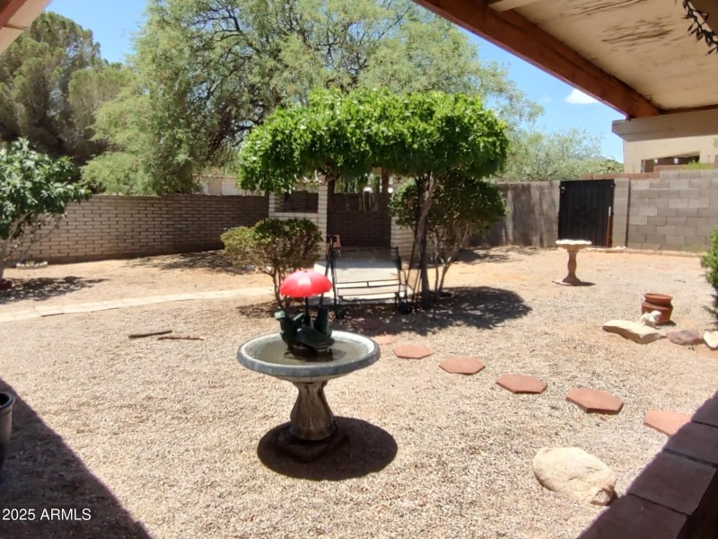 backyard