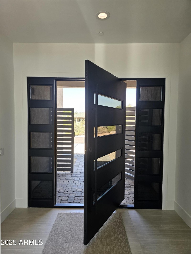 Pivot Door