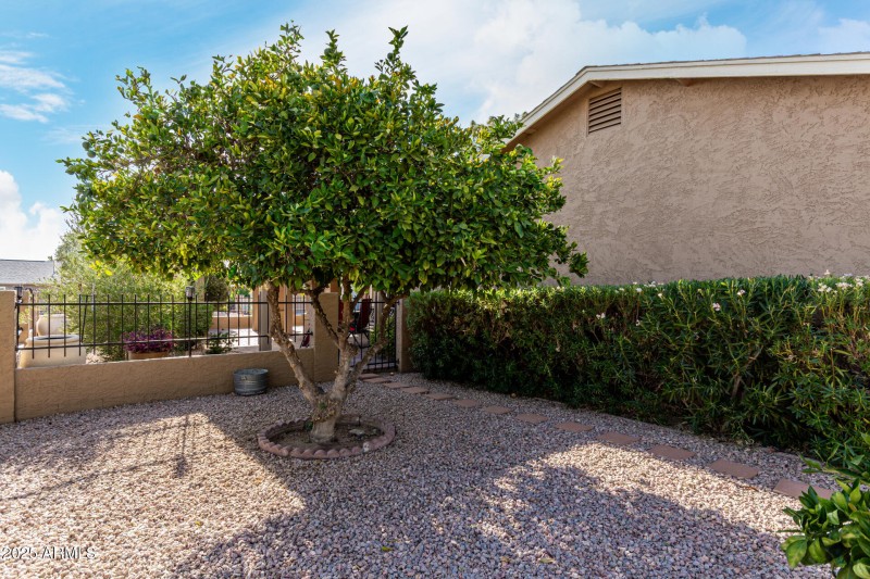 1087 Citrus Trees