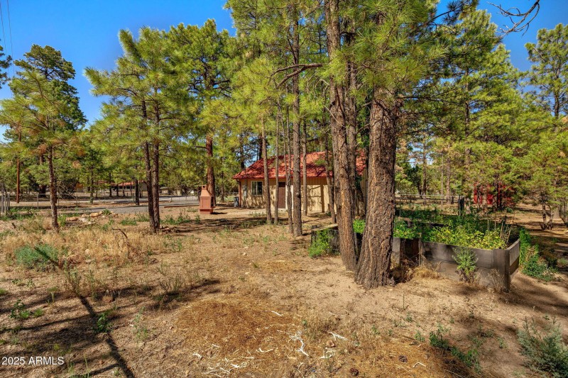 2846PineRimRd-Overgaard-AZ-3