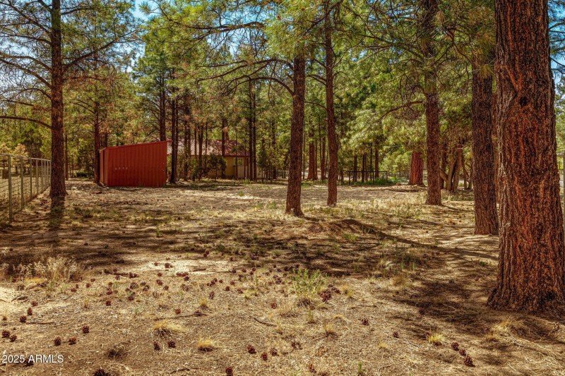 2846PineRimRd-Overgaard-AZ-23
