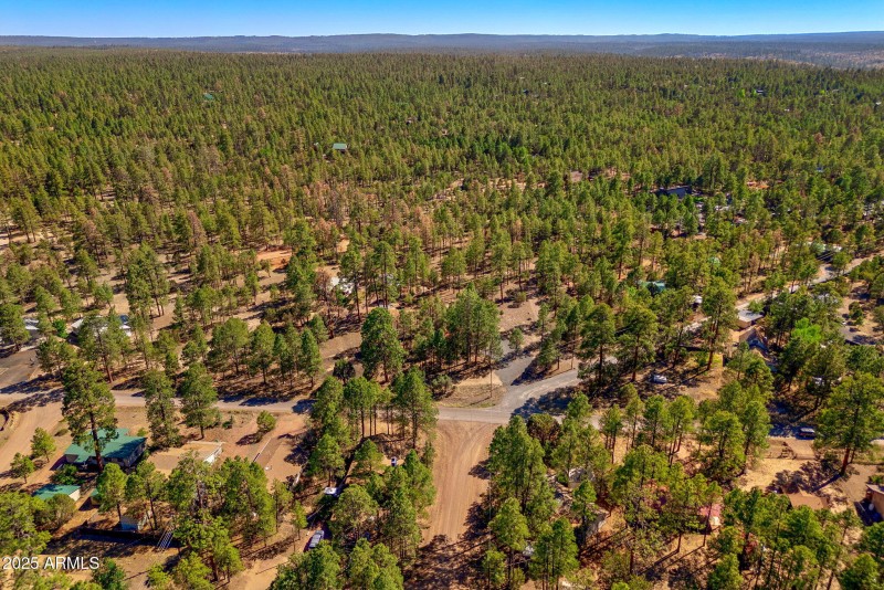2846PineRimRd-Overgaard-AZ-28