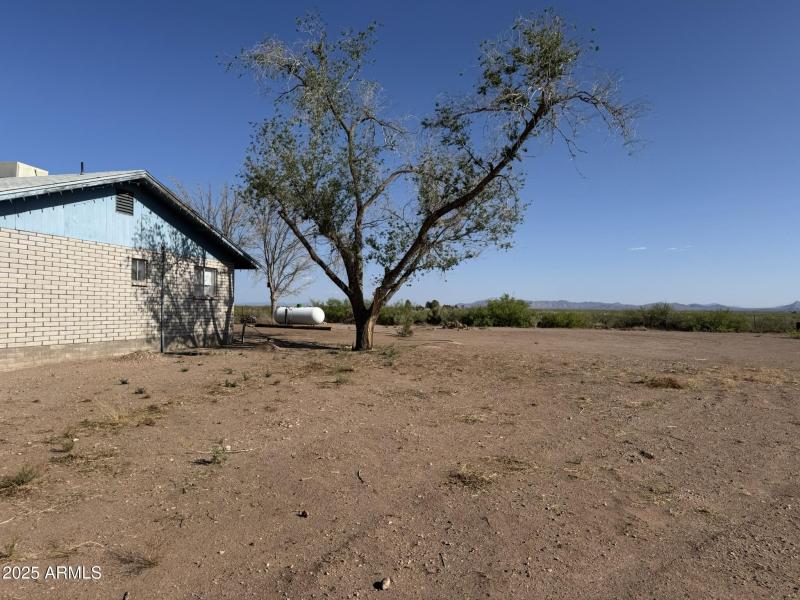Outside- West side of house