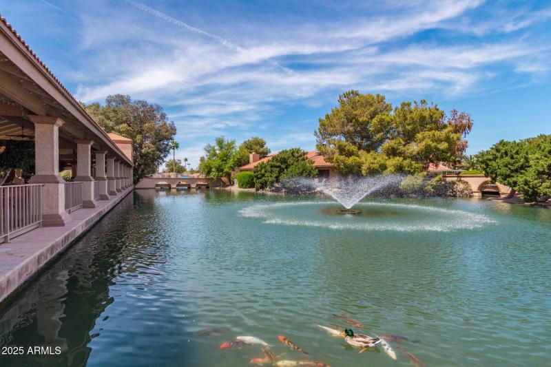 LW Fountains