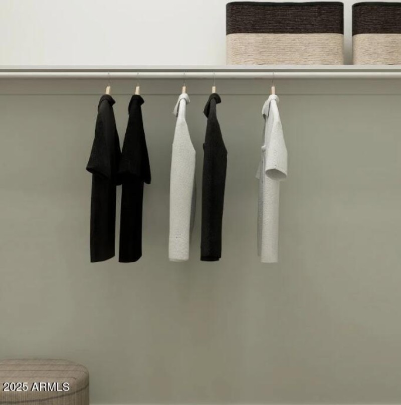 Owner's Walk in Closet