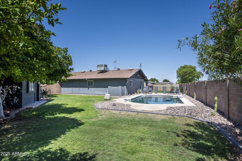 Real Grass Backyard