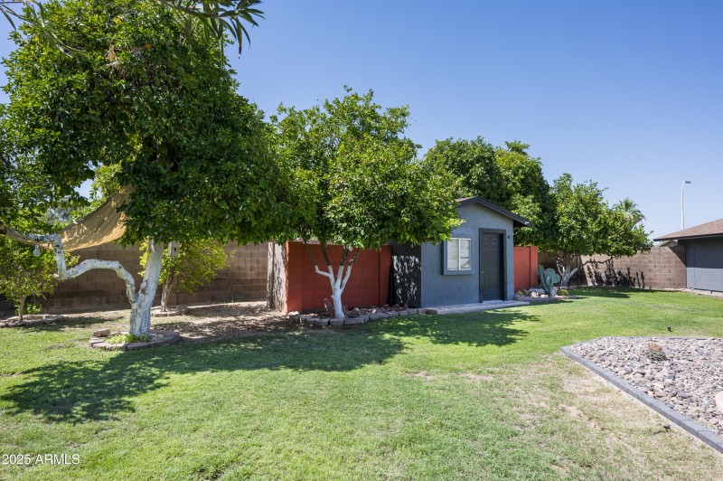 Storage Shed