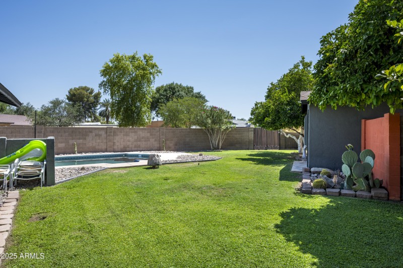 Large Grass Yard