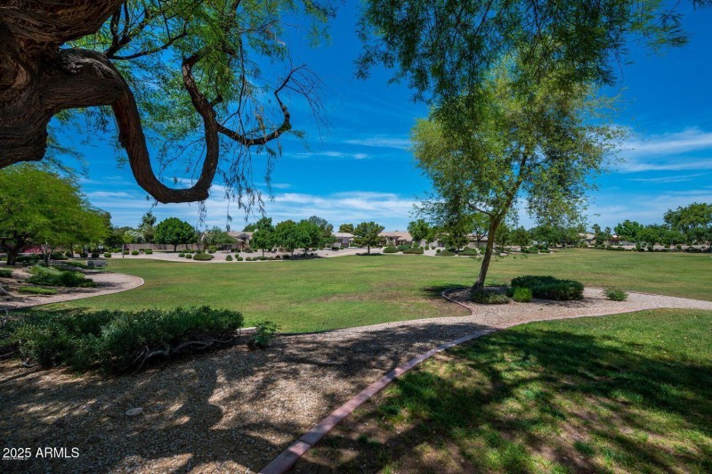 SSR park