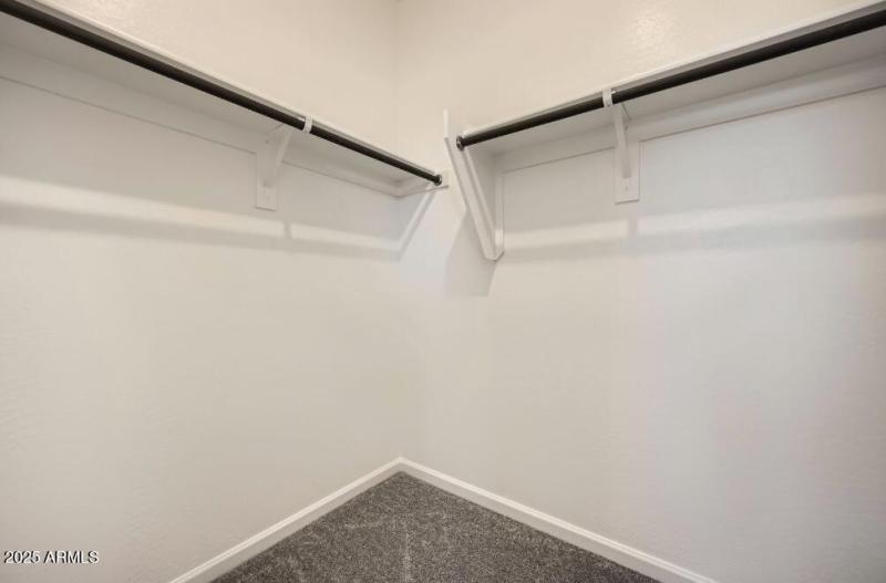 Owners Walk in Closet