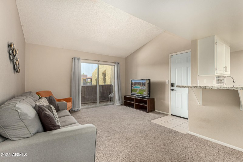 VAULTED CEILING, LARGE LIVING SPACE
